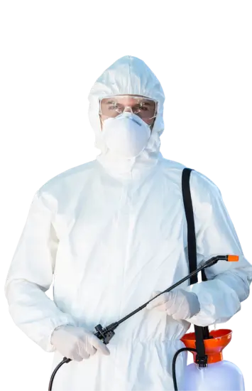 dezysystem suwałki