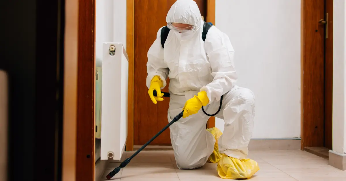 usuwanie pluskiew w gołdapi