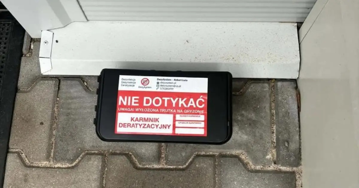 Deratyzacja dla firm w Suwałkach. Gryzonie szukają schronienia w magazynach, biurach i lokalach